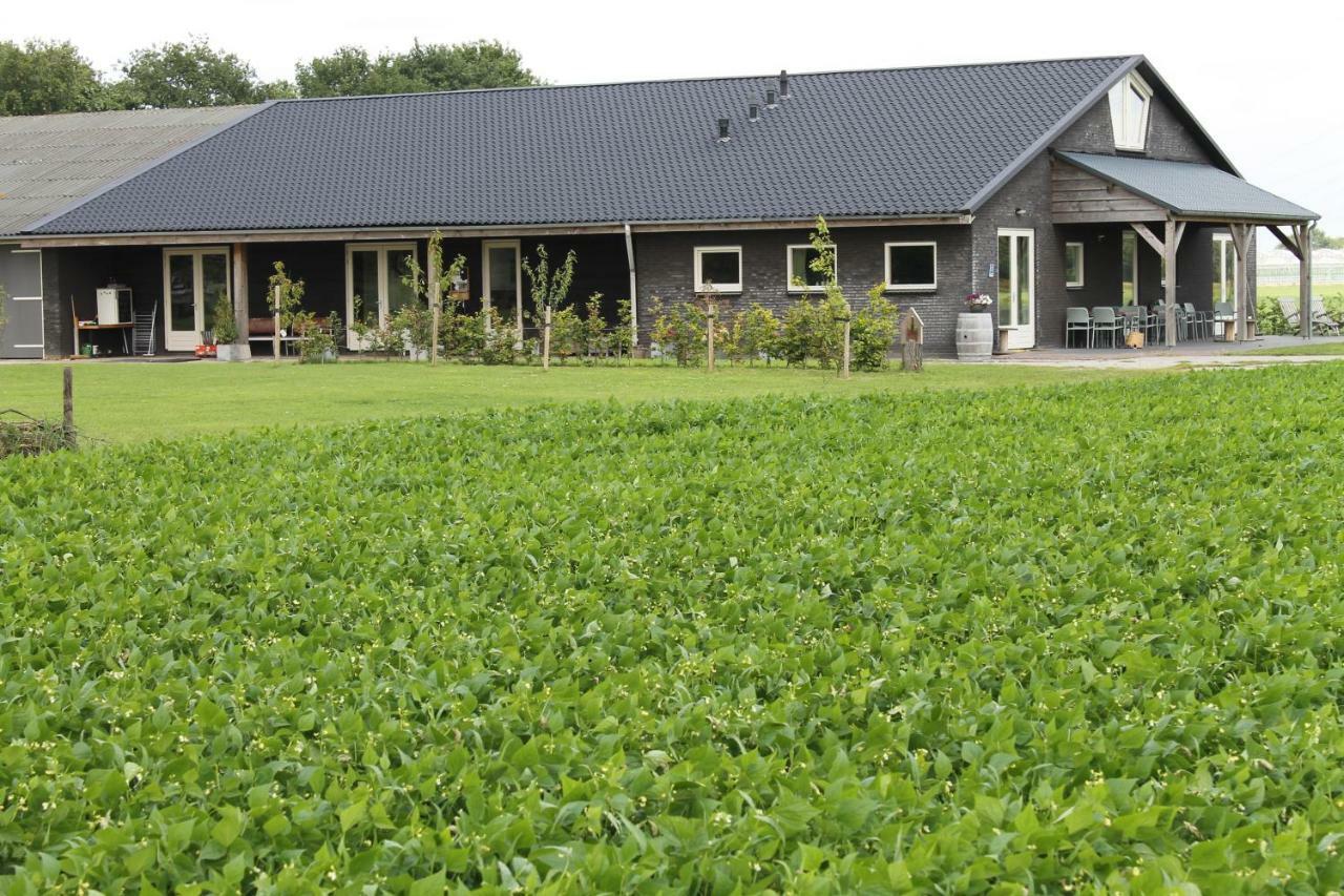 Munnickenheide Buitengewoon Overnachten Terheijden ภายนอก รูปภาพ